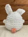 lapin b+o (2).webp